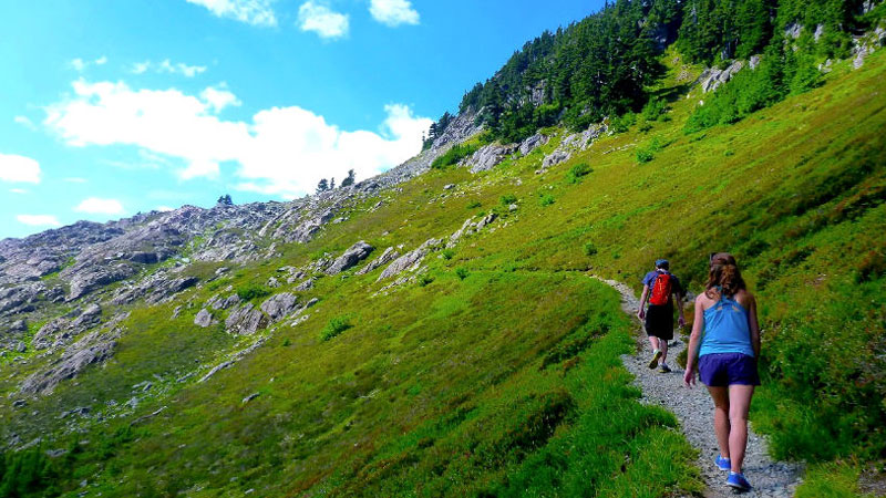 Dalhousie to Dharamshala: Self-Drive Luxury Car Adventures